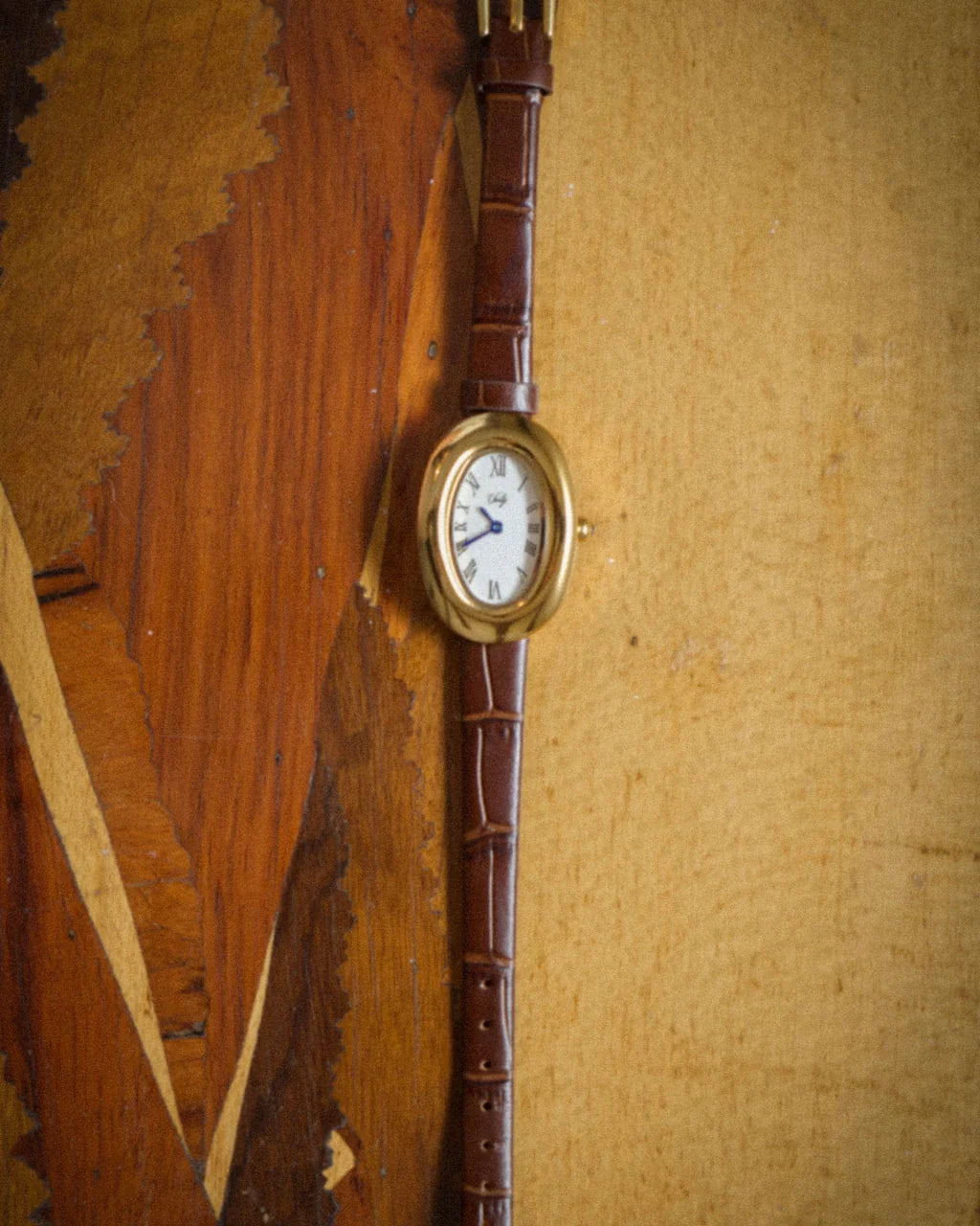 Reloj Prince Croco